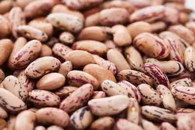 Heirloom Vegetable Seeds Beans Seeds Non Gmo Heirloom Pinto Bean Vegetable Seed Packs