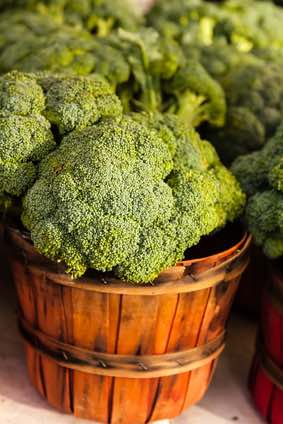 Heirloom Italian Broccoli